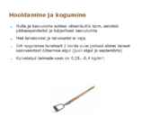 Maitsetaimed #28