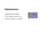 Maitsetaimed #43