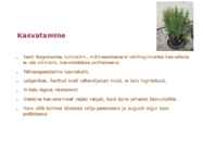 Maitsetaimed #44