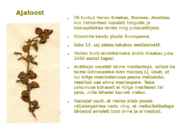Maitsetaimed #48