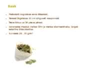 Maitsetaimed #51