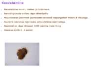 Maitsetaimed #82