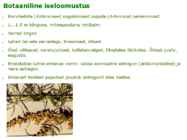 Maitsetaimed #85
