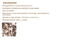 Maitsetaimed #86