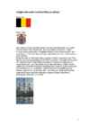 Belgia kuningriik #5