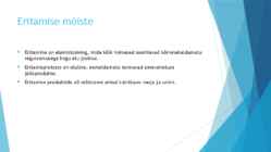 Eritamine #2