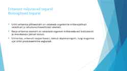 Eritamine #3