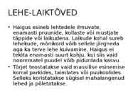 Okaste ja lehtede ning okste ja võrsete haigused #13