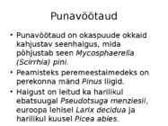 Okaste ja lehtede ning okste ja võrsete haigused #19
