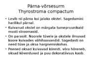 Okaste ja lehtede ning okste ja võrsete haigused #30