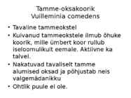 Okaste ja lehtede ning okste ja võrsete haigused #33