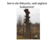 KAHJULIKUD LÕIKUSVÕTTED 2016
