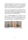 Sõlmed arborist alpinism mägironimine #23