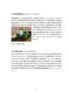 Sõlmed arborist alpinism mägironimine #6