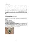 Sõlmed arborist alpinism mägironimine #8
