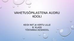 Vahetusõpilastena Audru Kooli