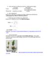 Bioloogia arvestus 8 klass #3
