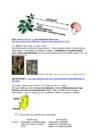 Bioloogia arvestus 8 klass #4
