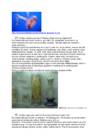 Bioloogia arvestus 8 klass #8