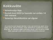 Eesti Vabadussõda #12