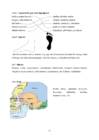 Inimese anatoomia ja füsioloogia õpimapp #51