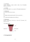 Inimese anatoomia ja füsioloogia õpimapp #59
