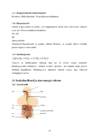 Inimese anatoomia ja füsioloogia õpimapp #63