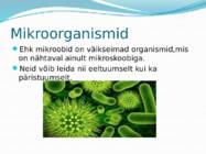 Mikroorganismid ja viirused #2