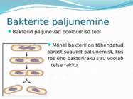 Mikroorganismid ja viirused #12