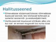 Mikroorganismid ja viirused #13