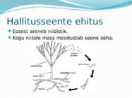 Mikroorganismid ja viirused #15