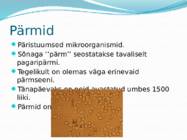 Mikroorganismid ja viirused #16