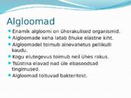 Mikroorganismid ja viirused #19