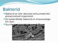 Mikroorganismid ja viirused #3