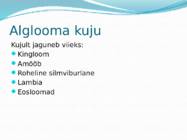 Mikroorganismid ja viirused #21