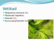 Mikroorganismid ja viirused #27