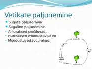 Mikroorganismid ja viirused #28