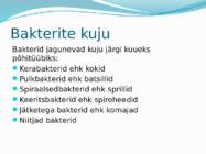 Mikroorganismid ja viirused #4