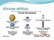 Mikroorganismid ja viirused #34