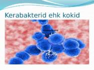 Mikroorganismid ja viirused #5