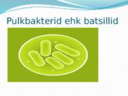 Mikroorganismid ja viirused #6