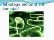 Mikroorganismid ja viirused #9