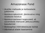 Brasiilia metsaseadus ja -poliitika #17