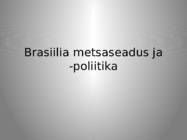 Brasiilia metsaseadus ja -poliitika