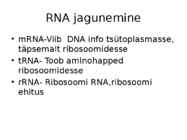 DNA ja RNA #11