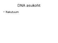 DNA ja RNA #4