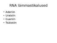 DNA ja RNA #10
