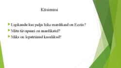 Mardikad #8