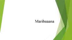 Marihuaana