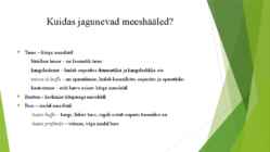 Muusikaõpetuse hääle teema #7